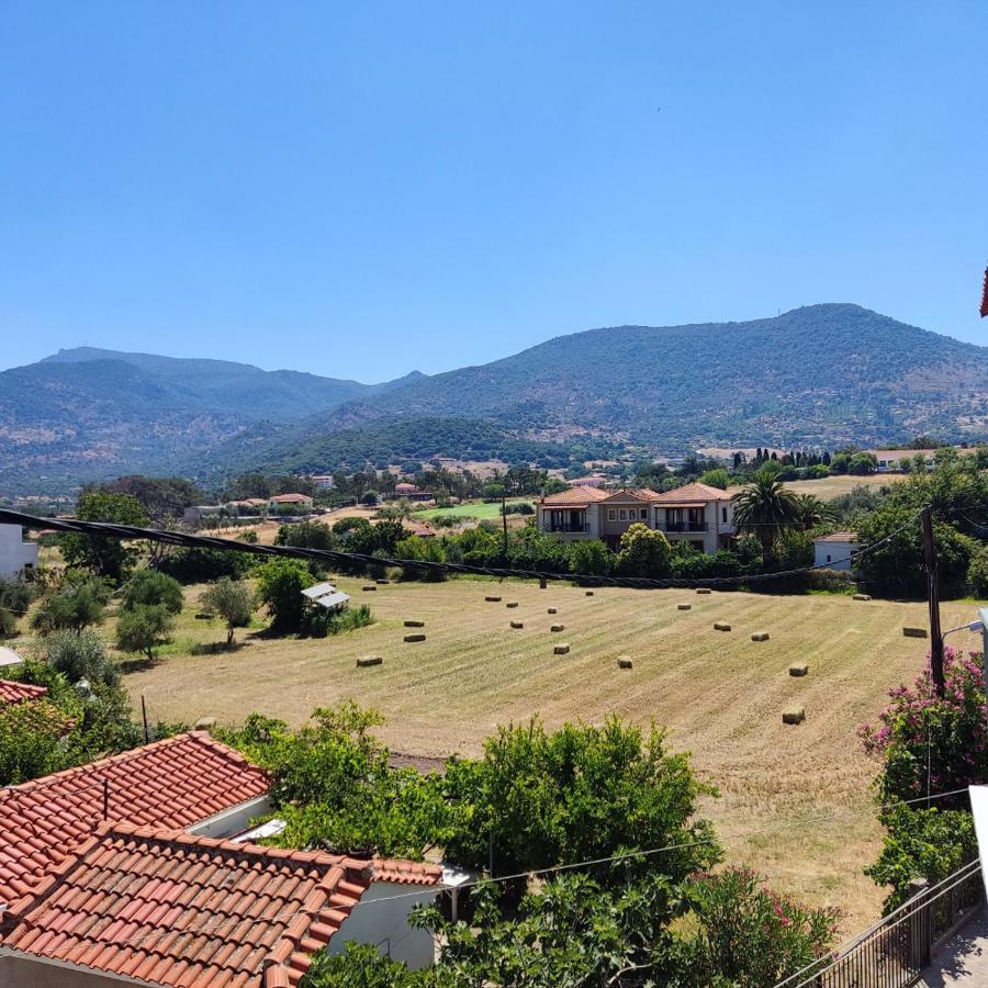 Hotel Ilion Petra  Bagian luar foto