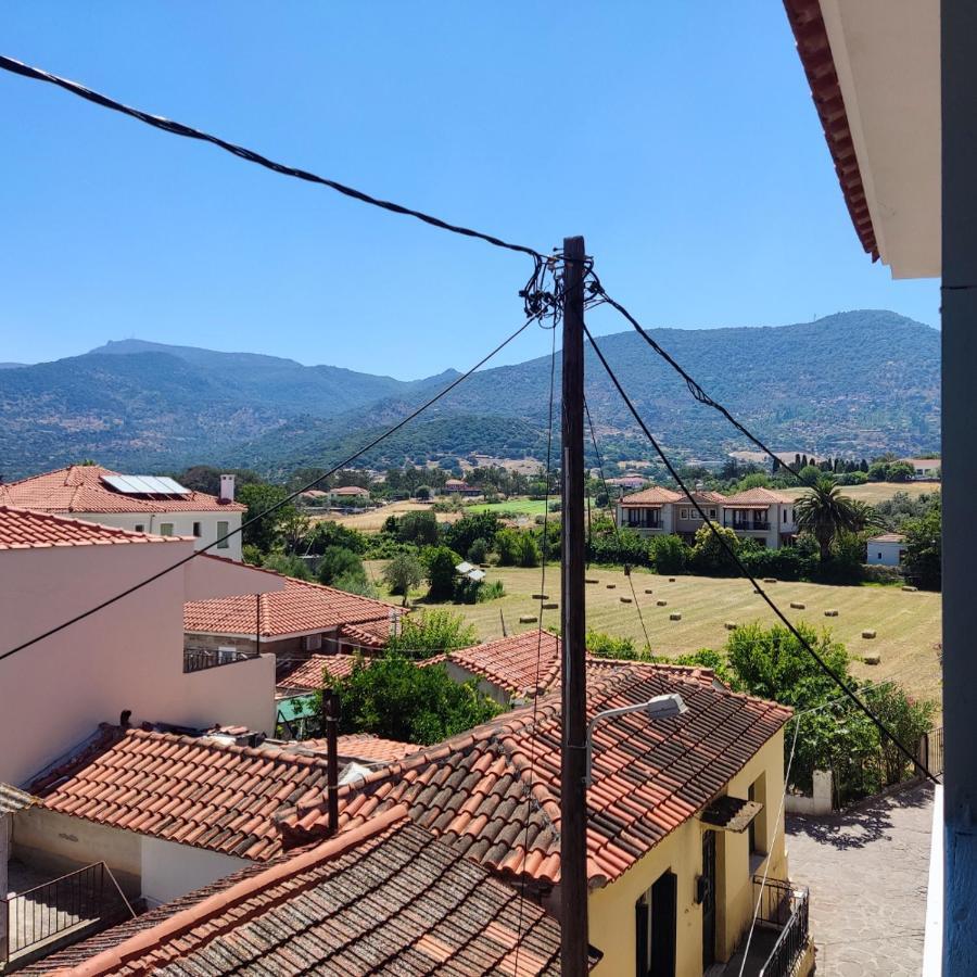 Hotel Ilion Petra  Bagian luar foto