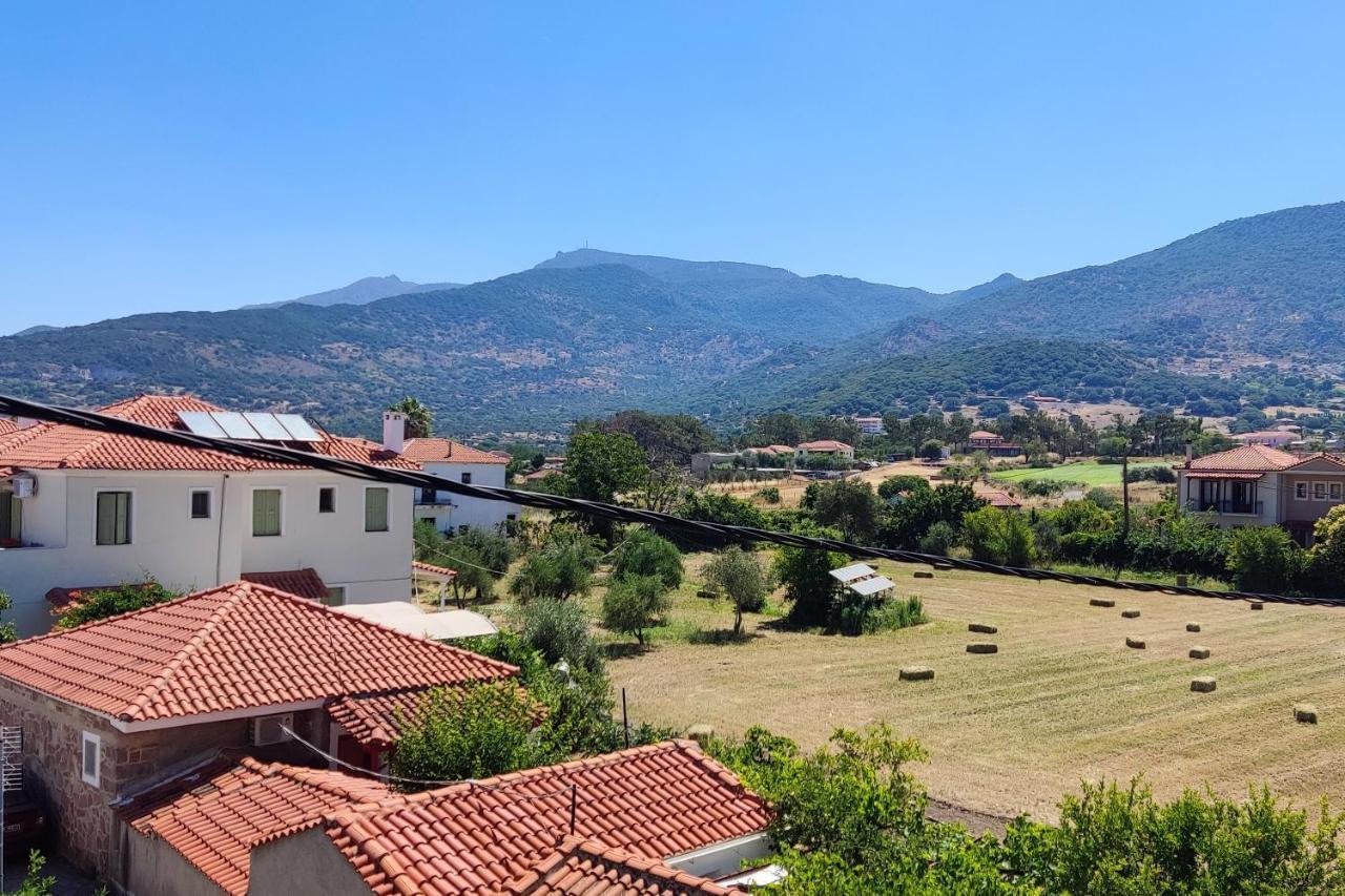 Hotel Ilion Petra  Bagian luar foto